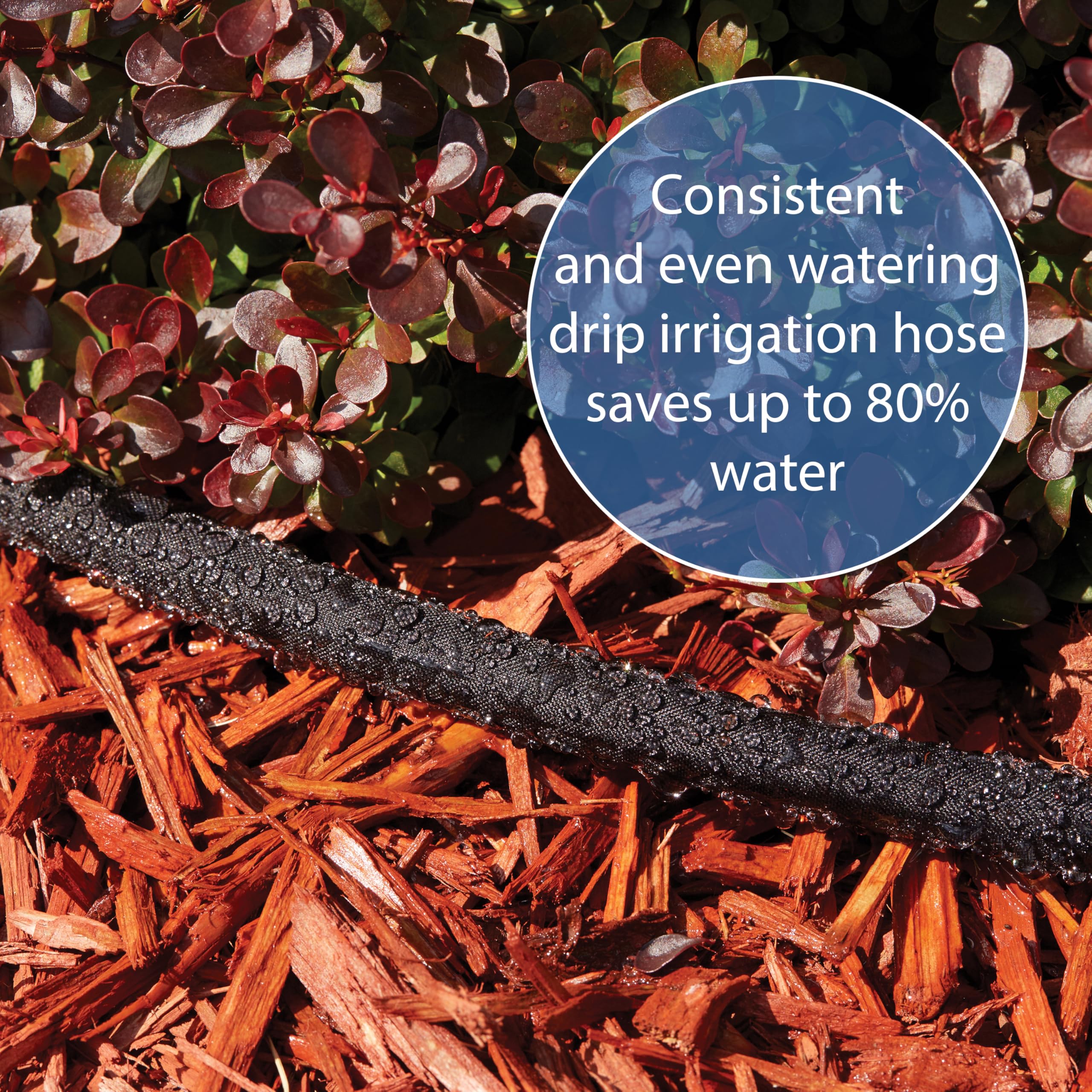 Gilmour 75' Black Flat Weeper Soaker Hose for Garden Beds, Drip Irrigation Outdoor Hose, Flexible Garden Hose for Vegetable Gardens, Flower Beds, Lawns, and Orchards - Image 5